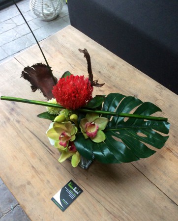 Orchidées Madagascar,  fleur exotique, philodendron - 68€ - Vendu 